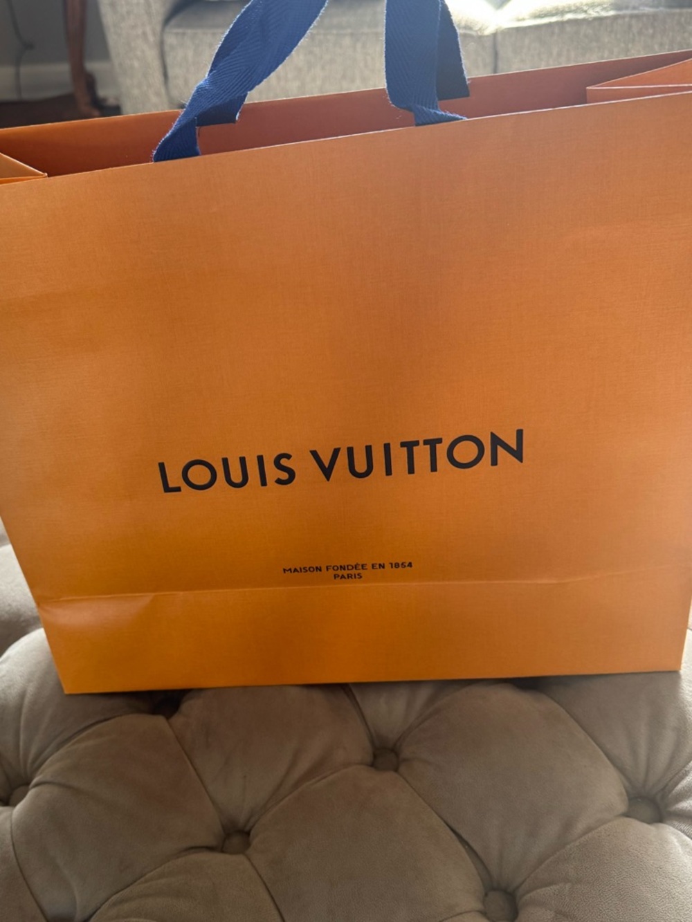 NWOT Louis Vuitton Signature Bright Orange Shopping Totes/Gift Bags Blue 3/$55 - Picture 5 of 12